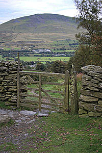 Gate by Blease Gill